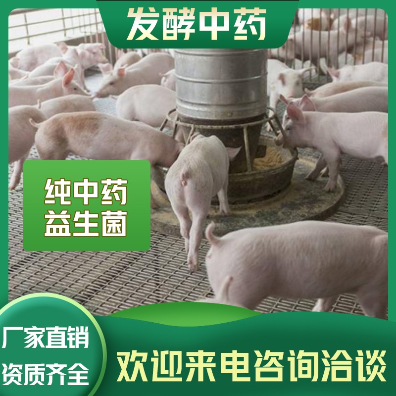 發(fā)酵中藥加盟