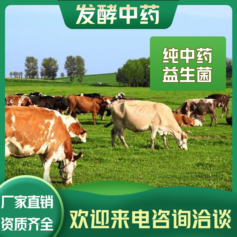 發(fā)酵中藥什么牌子好