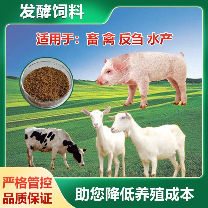 發(fā)酵飼料加盟