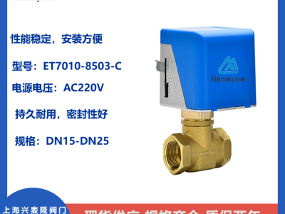 ET7010電動二通閥   上海興麥隆